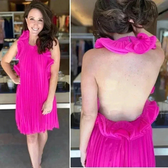 NWT - AMUR Lady’s Mimi Dress in Pink Hydrangeas Size 2 - Picture 13 of 14